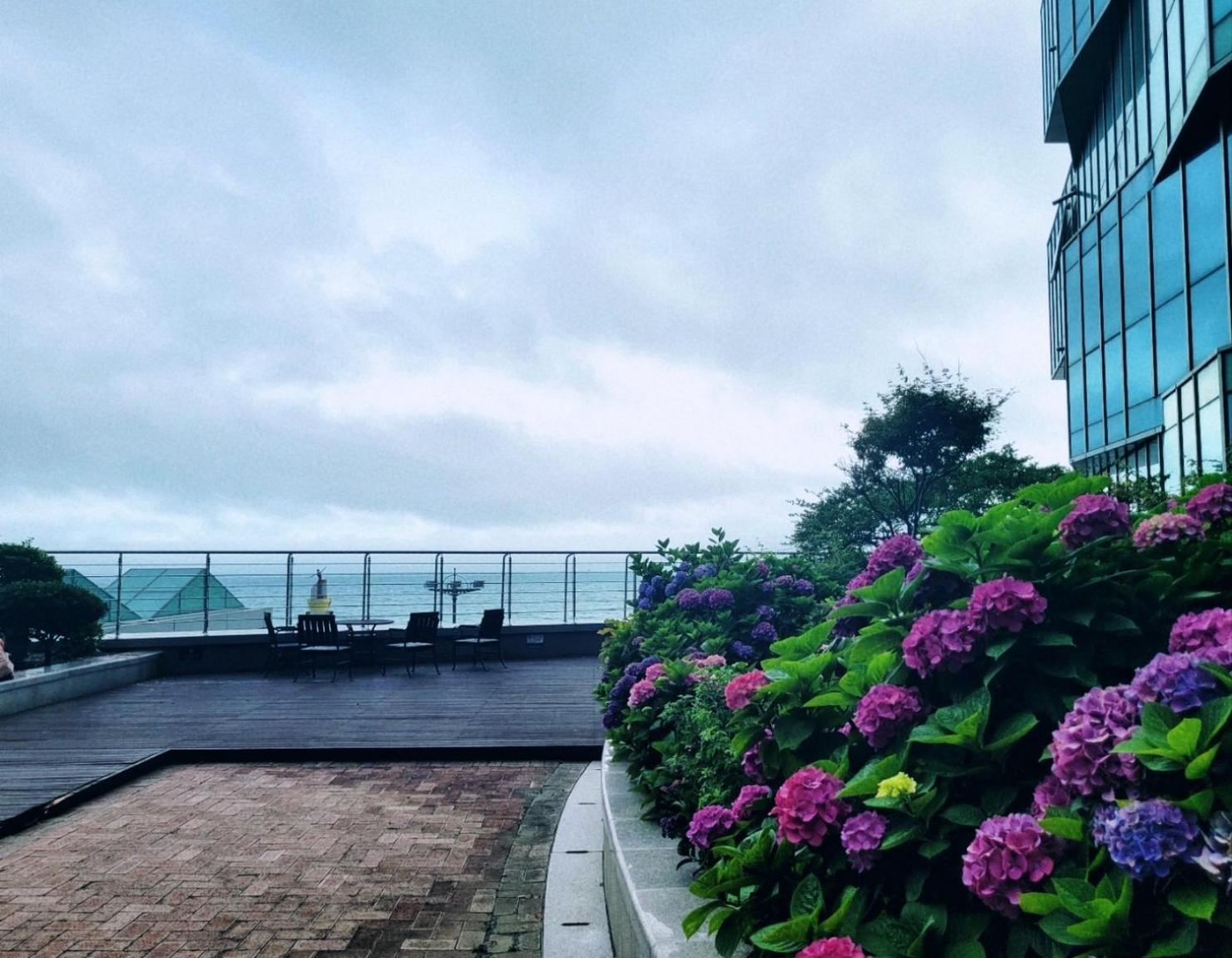 Pale De Cz Condo Busan Eksteriør billede