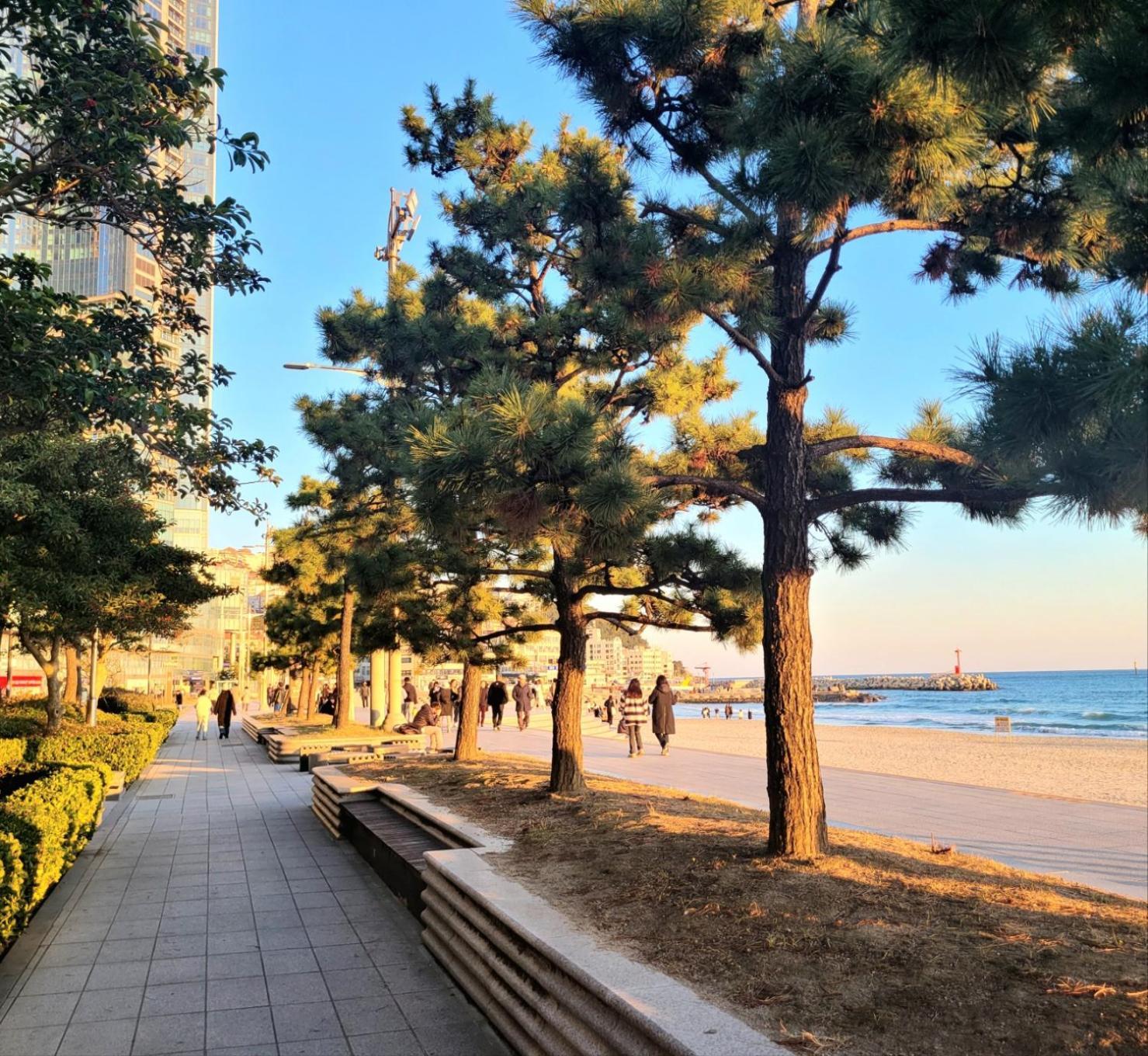 Pale De Cz Condo Busan Eksteriør billede